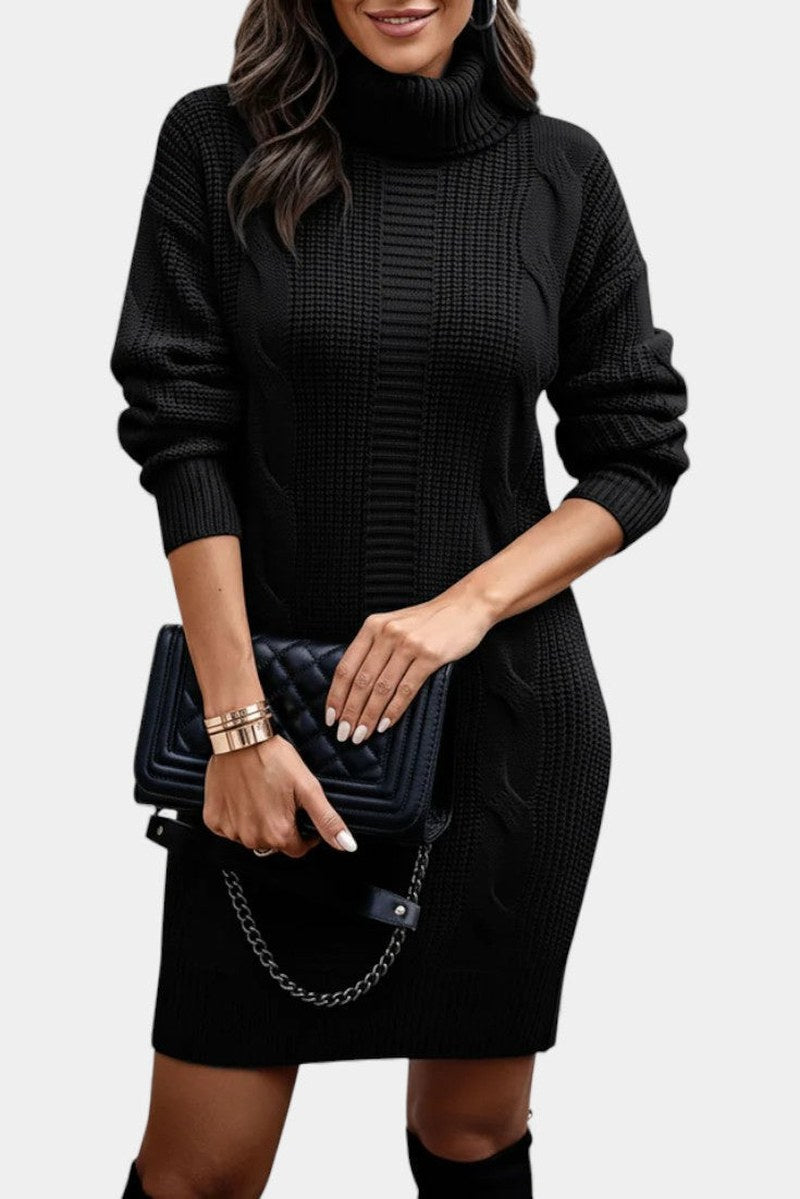 Helaine — Cable Knit Turtleneck Sweater Dress (2), StyleTruly