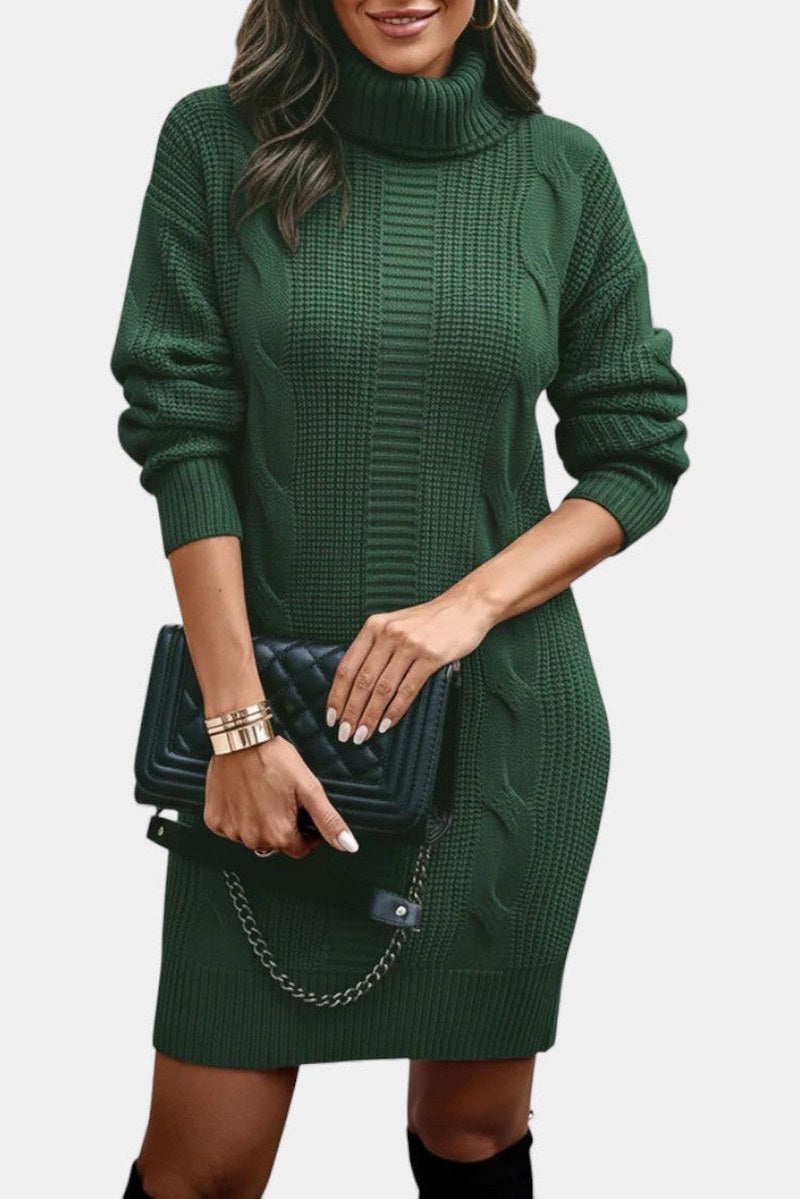 Helaine — Cable Knit Turtleneck Sweater Dress (6), StyleTruly
