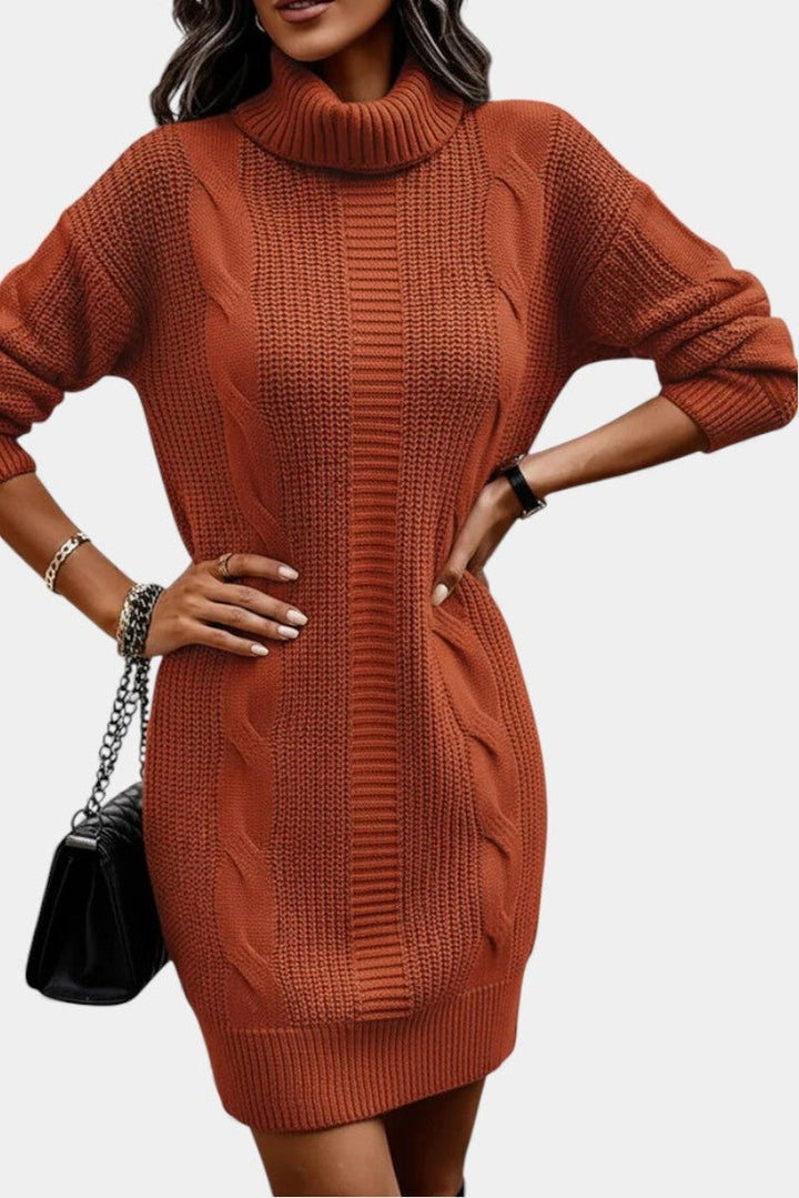 Helaine — Cable Knit Turtleneck Sweater Dress (16), StyleTruly